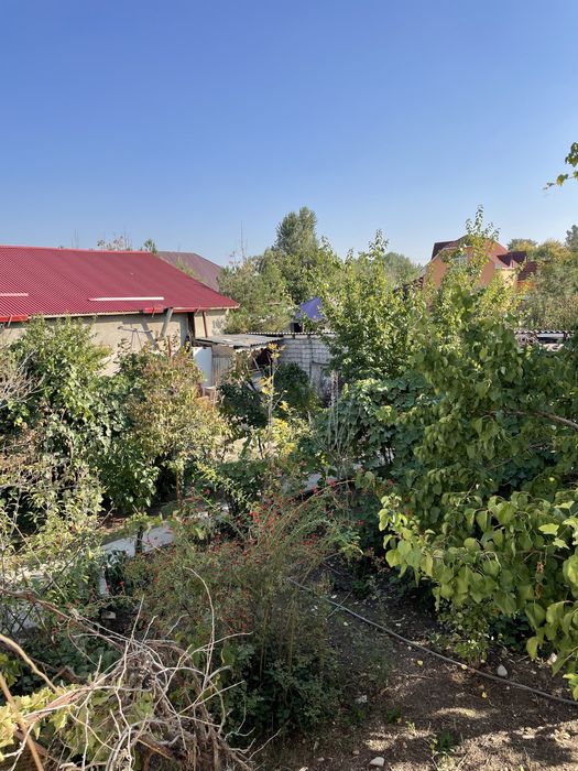 Продоётся дача 2 комнатая с подвалом и с сараем 11 соток