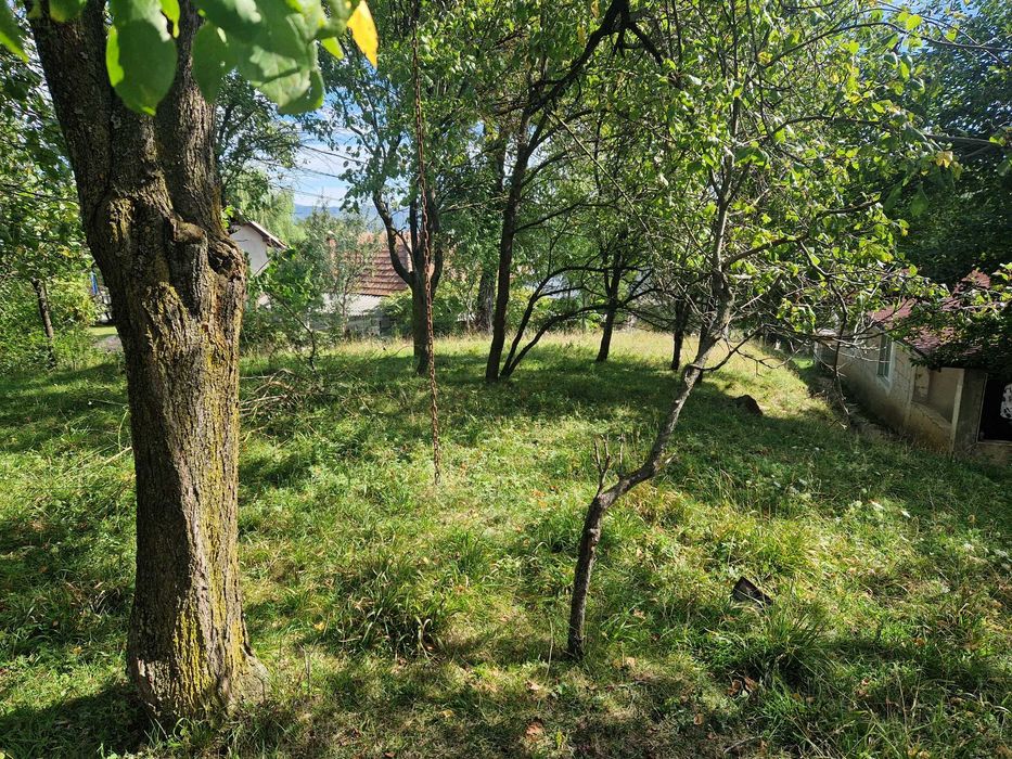 casa  de vacanta