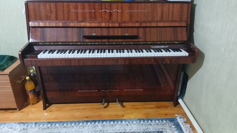 Пионинв музыкальная