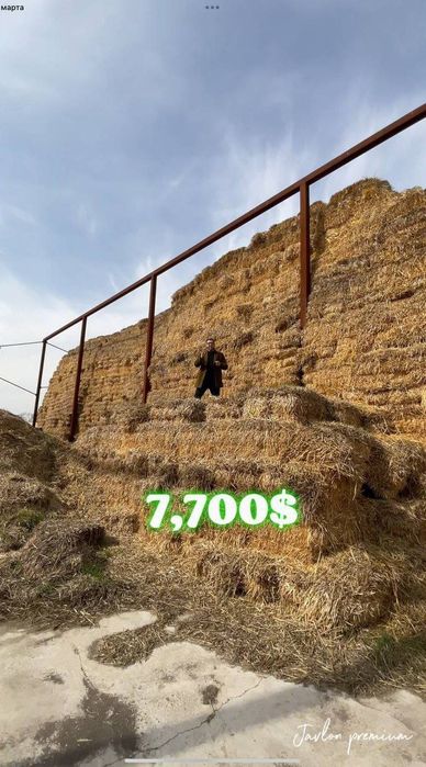 Продаётся Готовая Ферма современной модификации. М39 трасса 1-линия