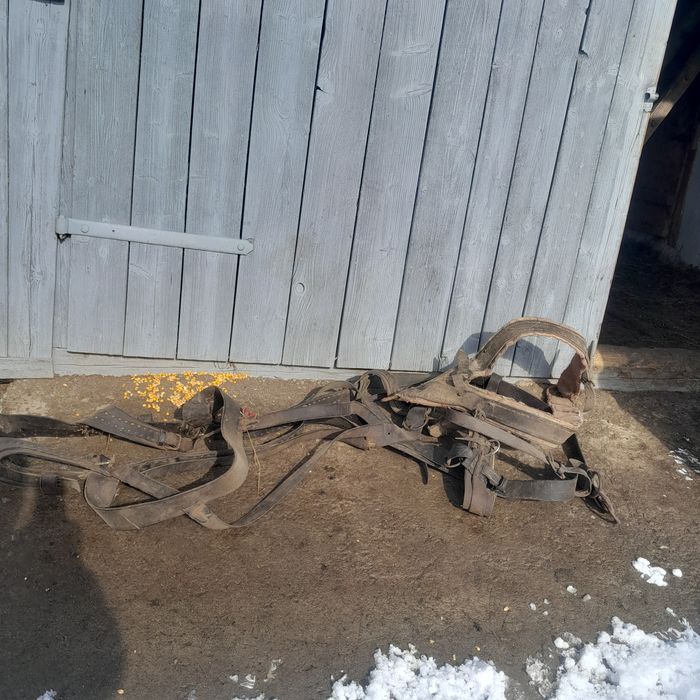 Hamuri de 2 cai de Reghin