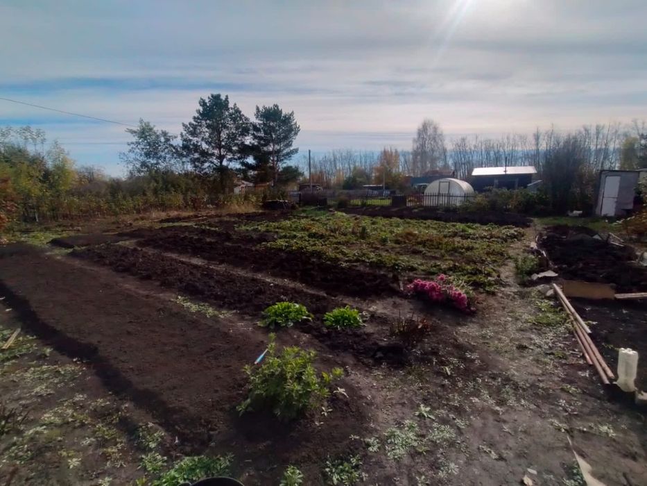 Продам дачу общество (дружба)