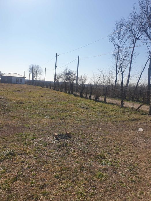 Teren 3 loturi BOLOVANI