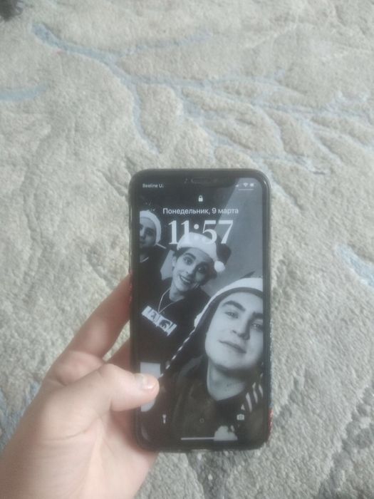 Iphone x работает идеал