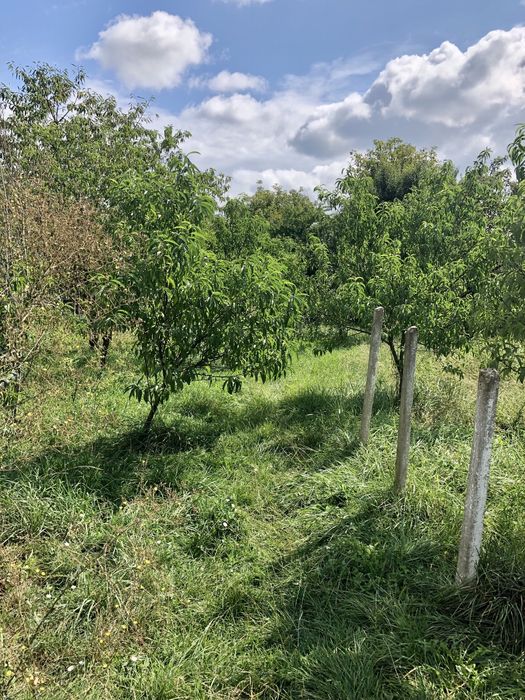 Casa de vanzare- zona str. Cooperatiei