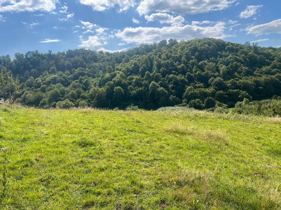 Teren de vanzare exatravilan