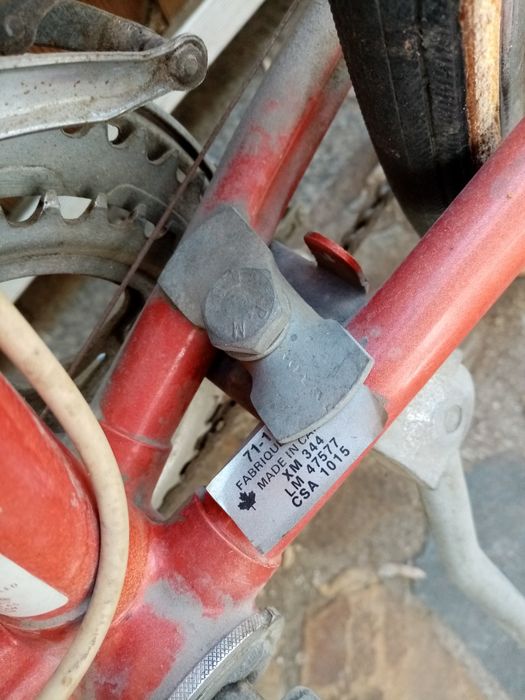 Bicicleta cursiera dama