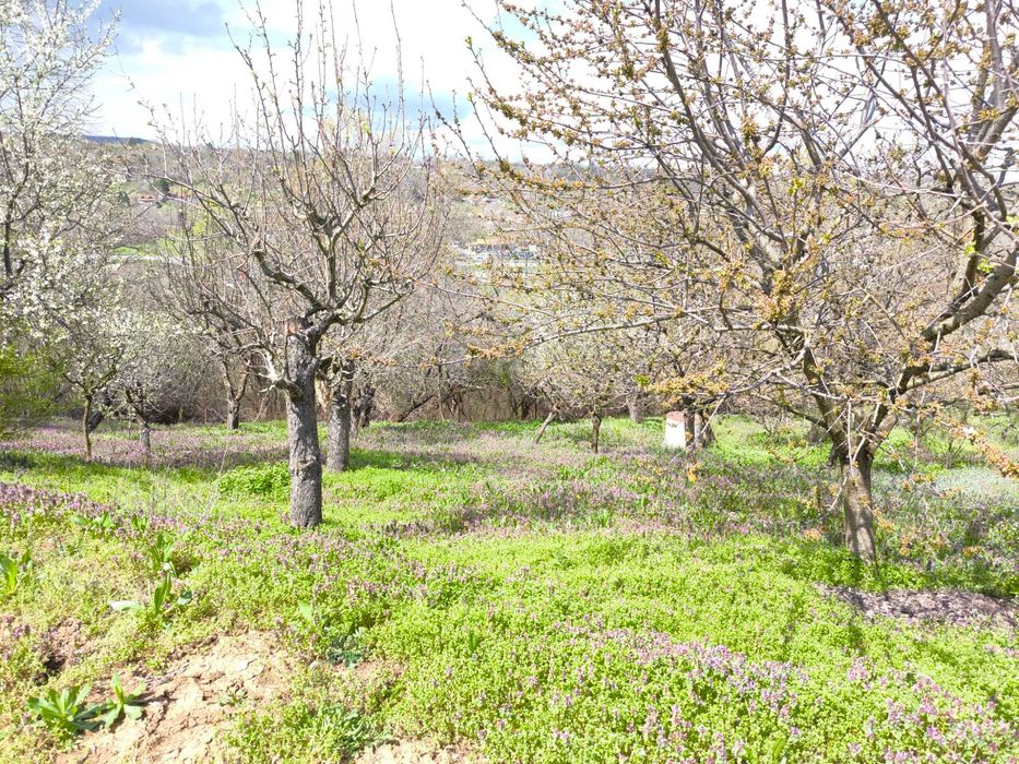 Продава се Къща в Търговище, Вилна зона - 100 кв.м за 459 €/кв.м - Снимка #21