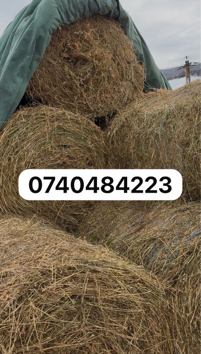 Baloti de lucerna coasa 4 MURES