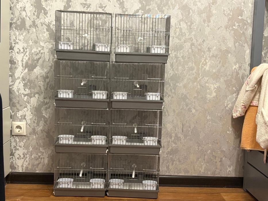 Канарейки,щеглов,репла  клетка