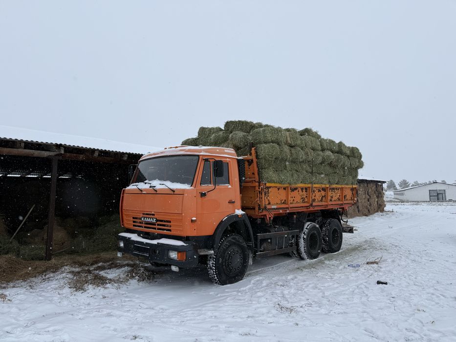Жоңышқа, жонышка, пресс тюк сабан