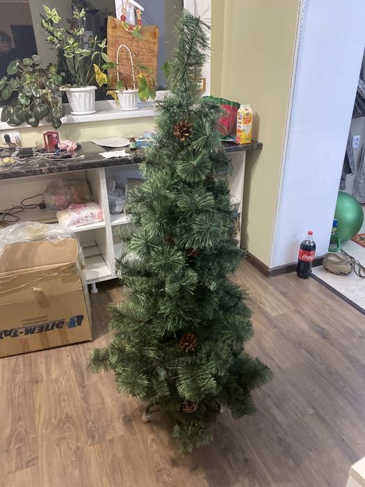 Ёлка Новогодняя Елка Ель