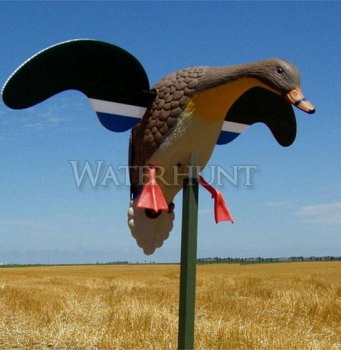 Atrapa electrica Mojo Mallard rata mare