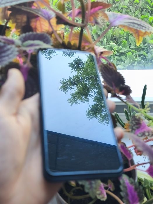 Samsung galaxy m12