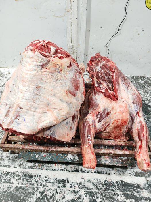 Оптом мясо говядины телятины конины