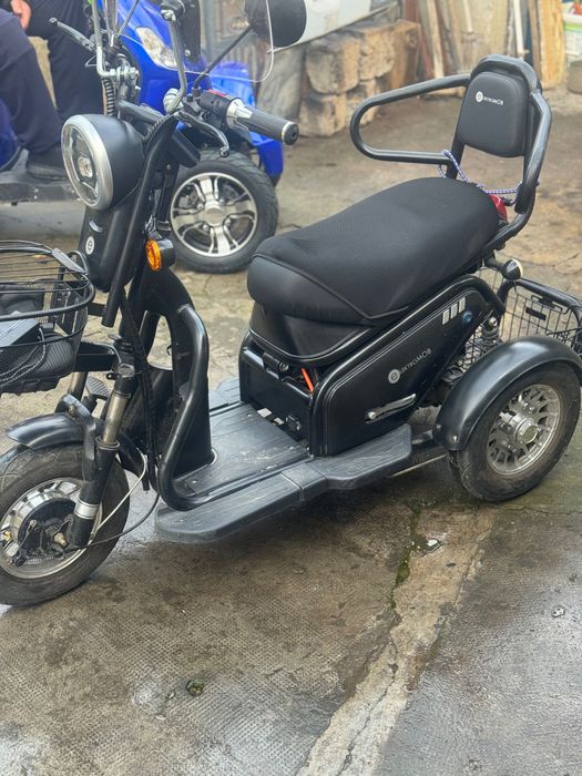 Tricicletă electrică ElectroMob 2 locuri
