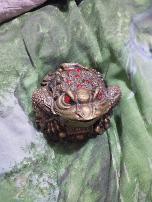 Suviner qurbaqa koʻzlari qizil