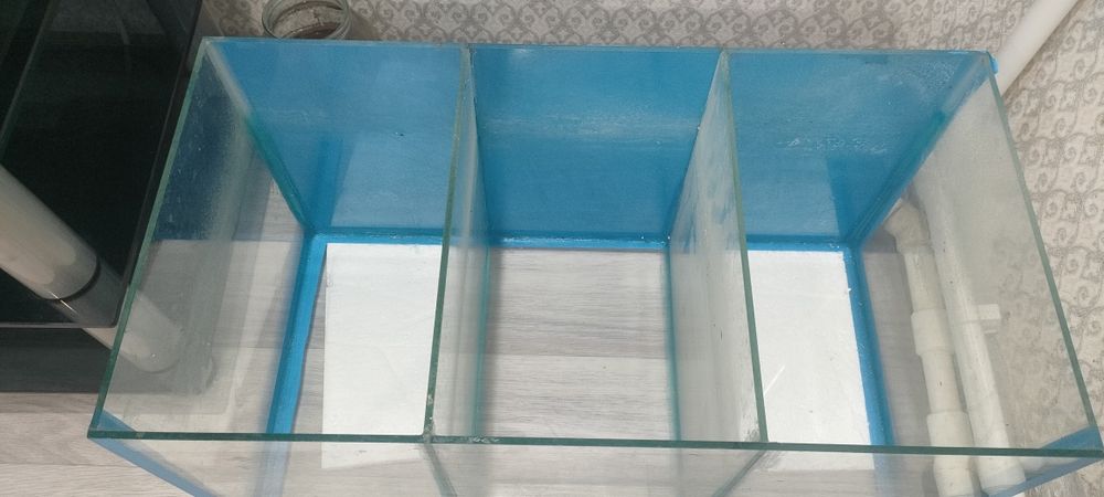 Аквариум сатыоады