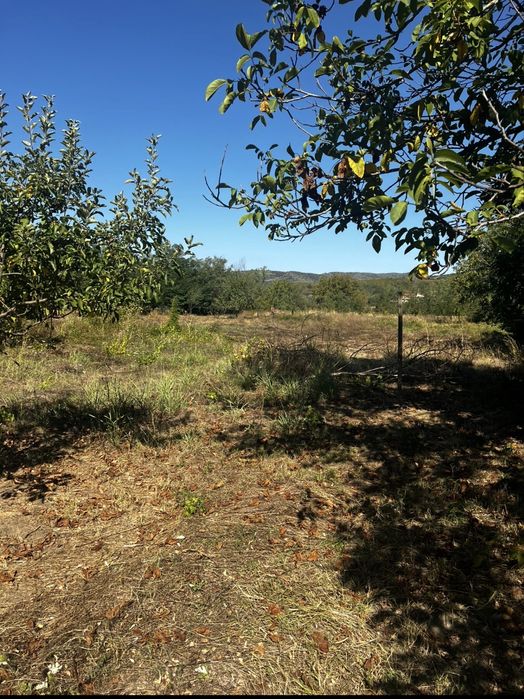 Parcele teren intravilan Săsenii Vechi Vernesti