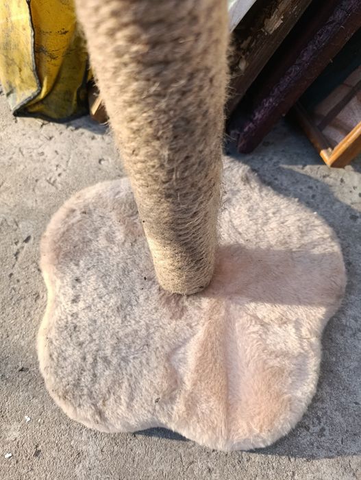 Ногте точка для кошаков