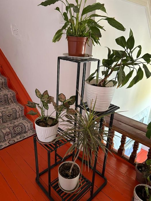 Подставка (для цветов) Гүлге темірден жасалған