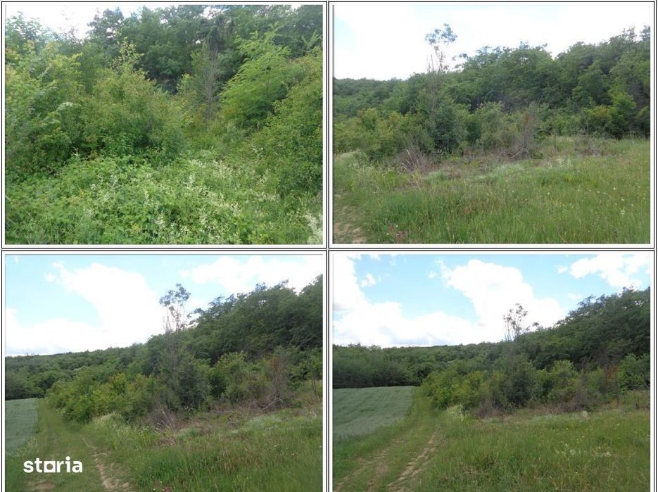 Teren extravilan com.Dragesti, jud.Bihor