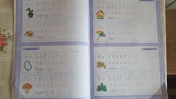 Тетрадь цыпленка. Пропись 5-6 лет.