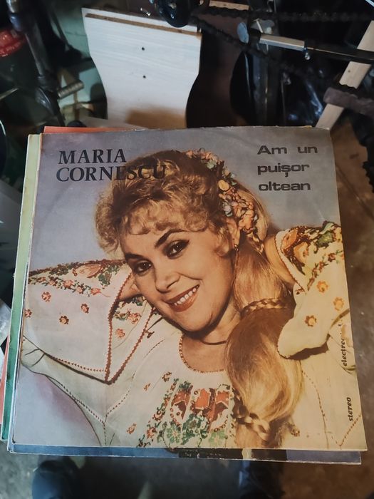 Discuri vinil în stare foarte buna