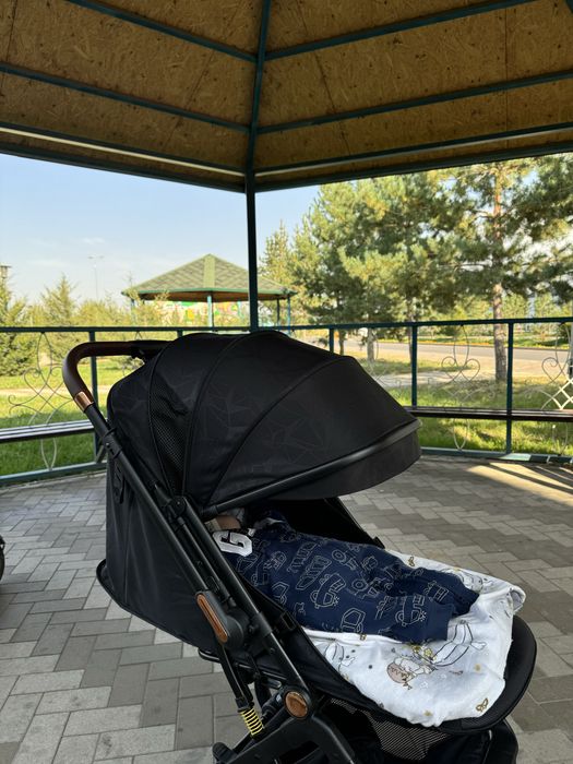 Коляска зима лето