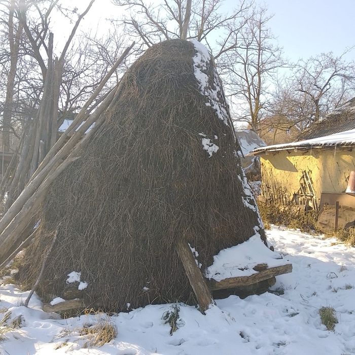 Vând Baloți Lucernă Mici și Mari și 2 Stoguri de Lucernă