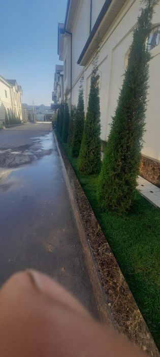 Ландшафтный дизайн ва газон урнатиш