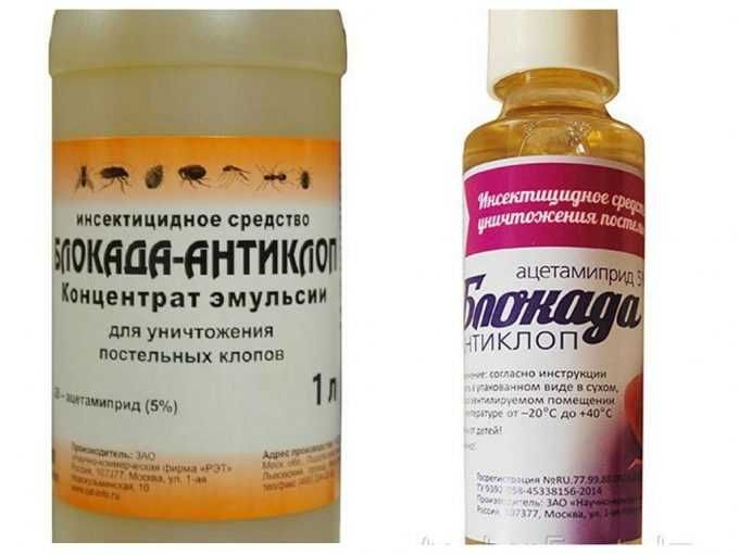 Есть на свете, помимо тараканов мух и комаров еще одна мерзость Клопы