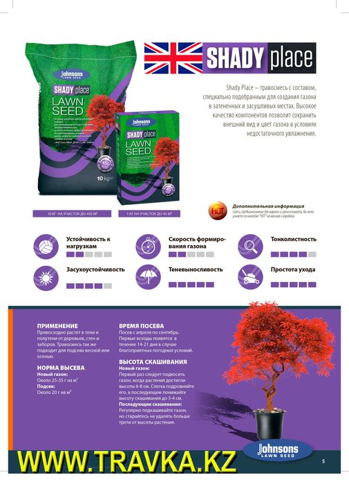 Семена газонной травы. Газон