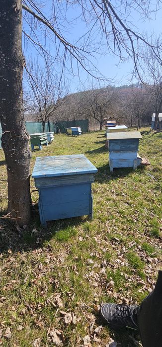 Пчелни кошери 17 броя