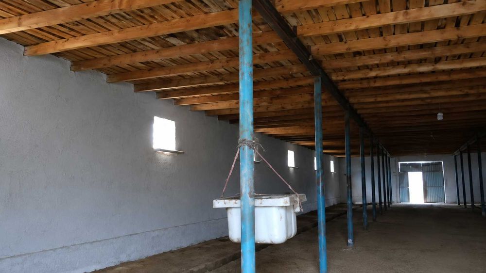 11 500 м² ва 3 940 м² майдонли 2 та нотурар объект сотилади