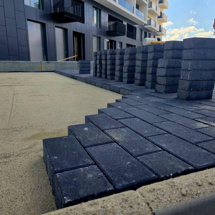 Pavaje pavele standard