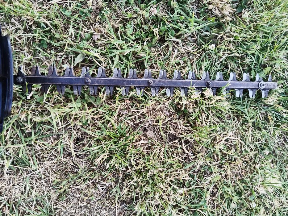 vand foarfeca trimer gard viu Hitachi CH66EB3