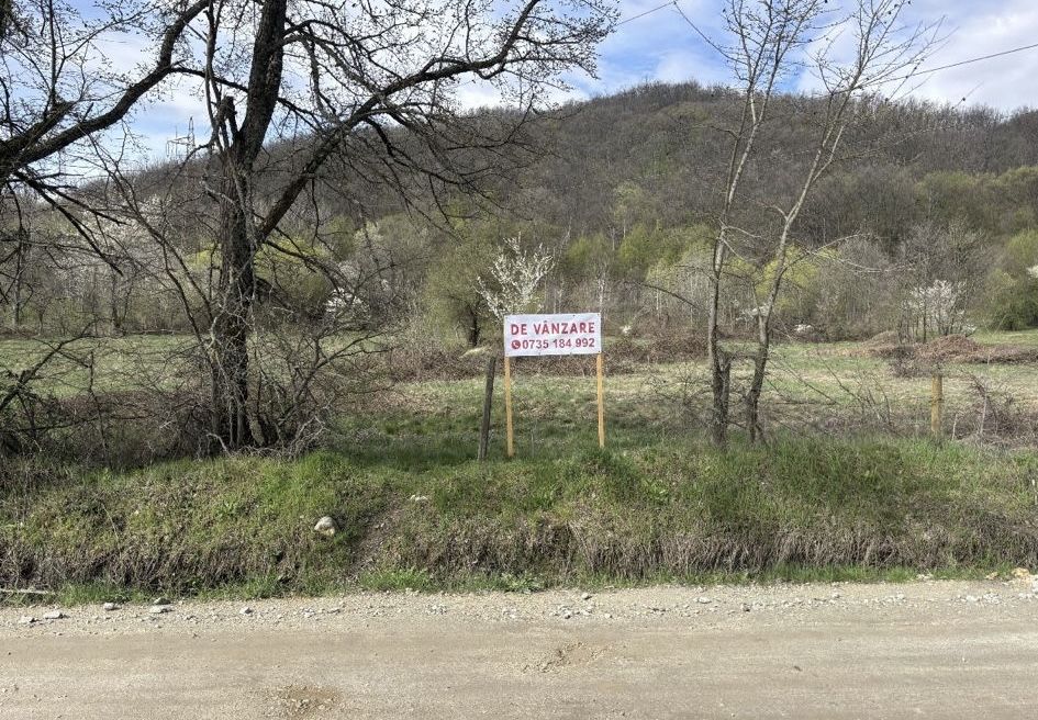 Vand loturi de teren pe strada Aninilor