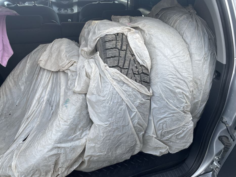 Шипованная (зимняя)