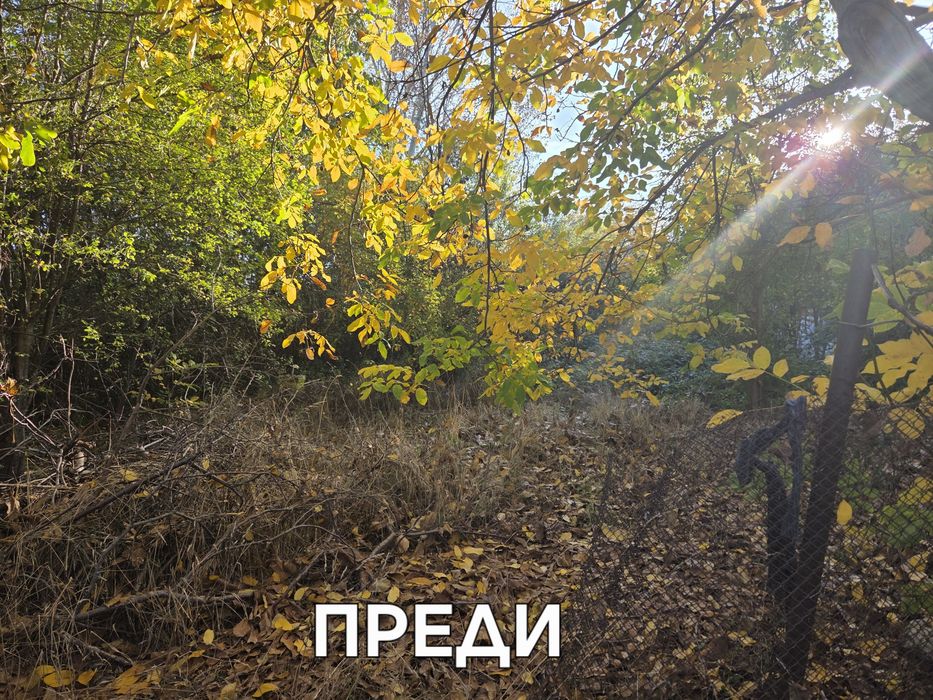Почистване на запустели парцели дворове и имоти