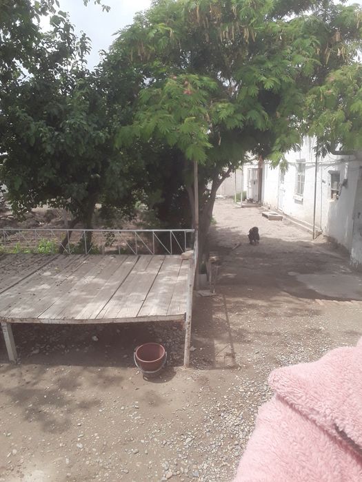 Продам срочно участок