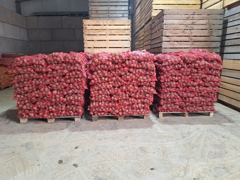 Cartofi Consum Proaspeți și Gustoși