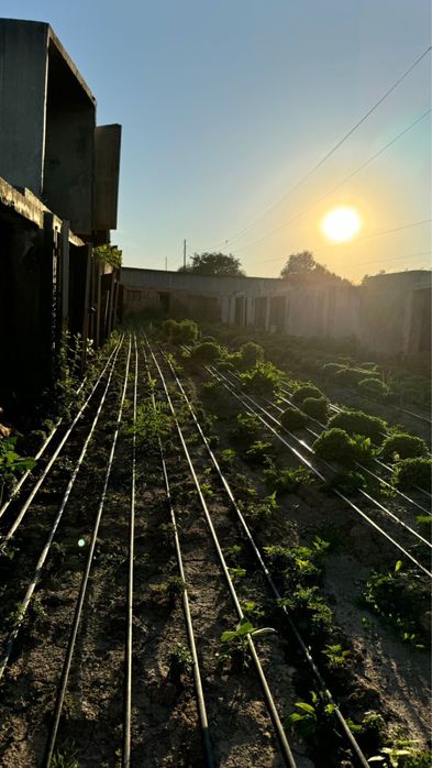 Промышленная база