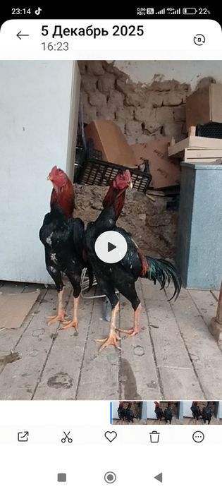 Сатлады срочнаа.