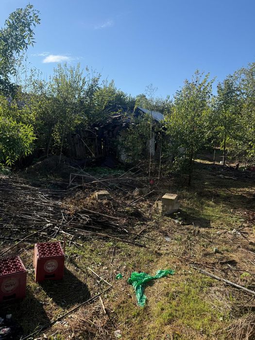 Vând teren intravilan 1000 mp Com Iepuresti, jud Giurgiu