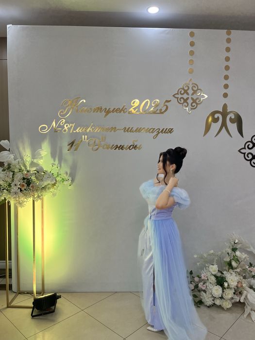 cinderella prom dress