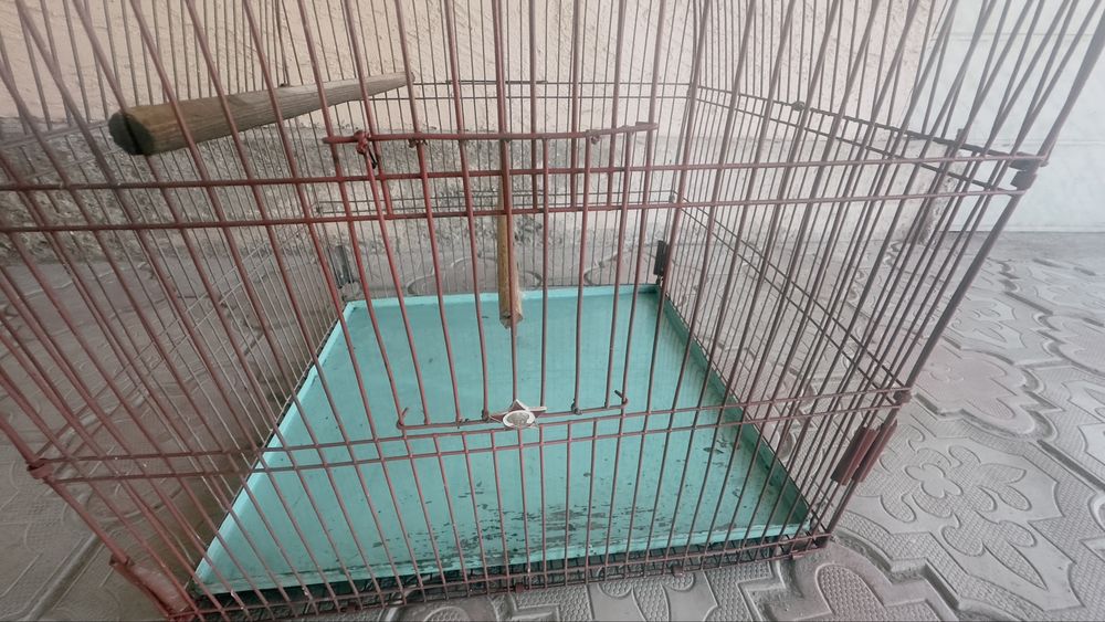 Клетка для птиц большая!