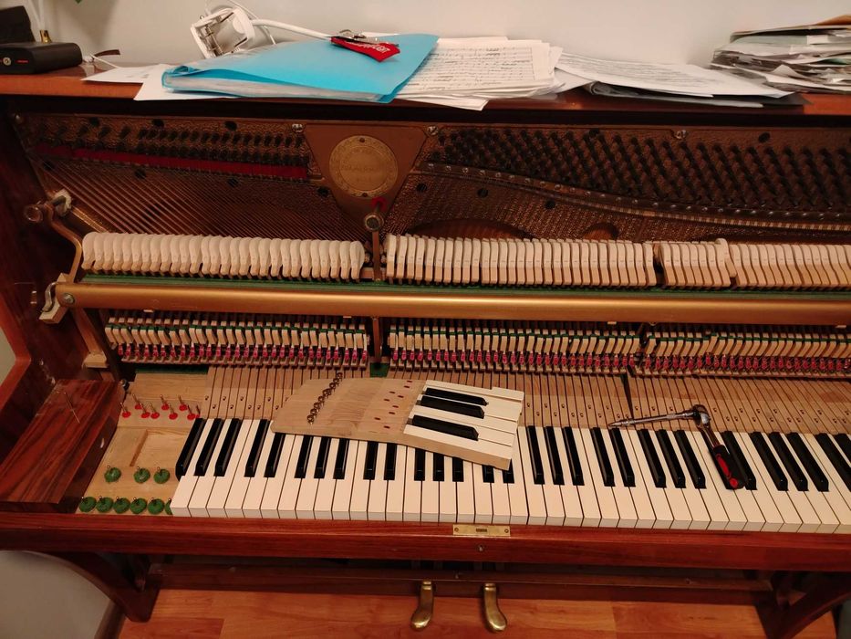 Настройка фортепиано по Самарканду