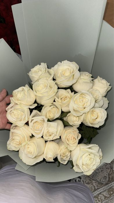Метровые белые розы