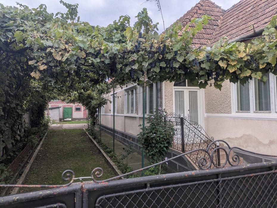 Casa de vânzare Ogra, Mureș - 4 camere, anexe, 23.5 ari teren
